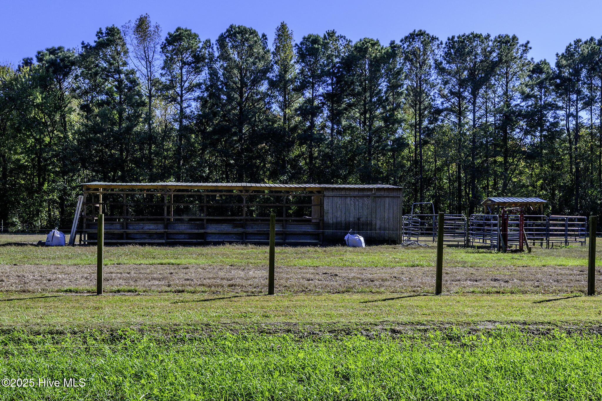 335 Guinea Town Road Trenton, NC 28585 - Photo 63 of 72 Cow/Horse Barn