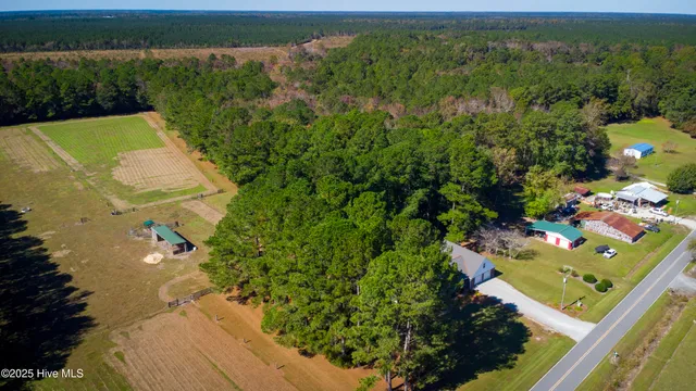 $750,000 | 335 Guinea Town Road, Trenton, NC 28585