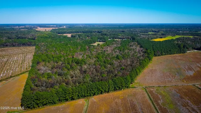 $750,000 | 335 Guinea Town Road, Trenton, NC 28585