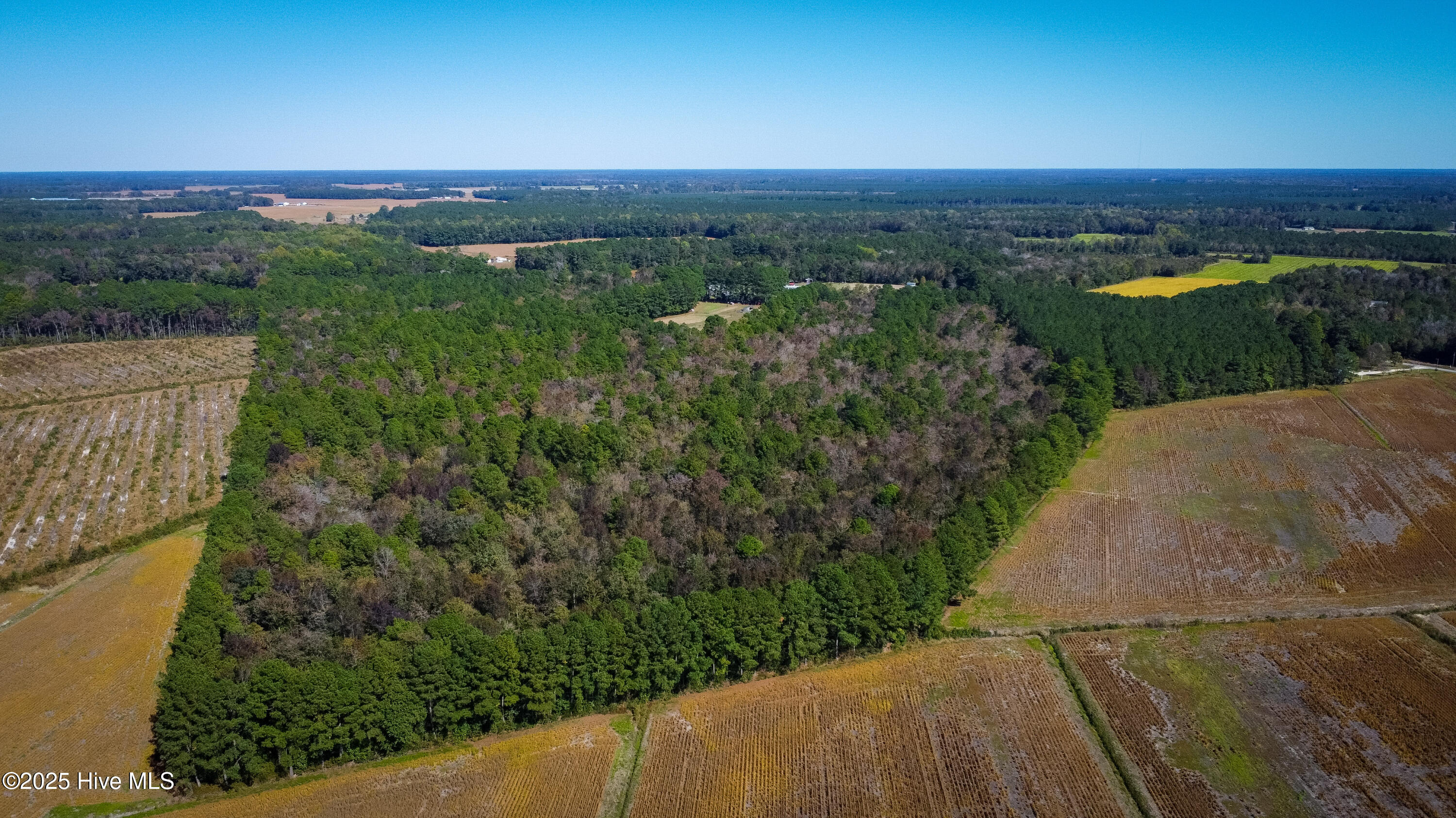 335 Guinea Town Road Trenton, NC 28585 - Photo 72 of 72 335 Guinea Town Road, Kinston