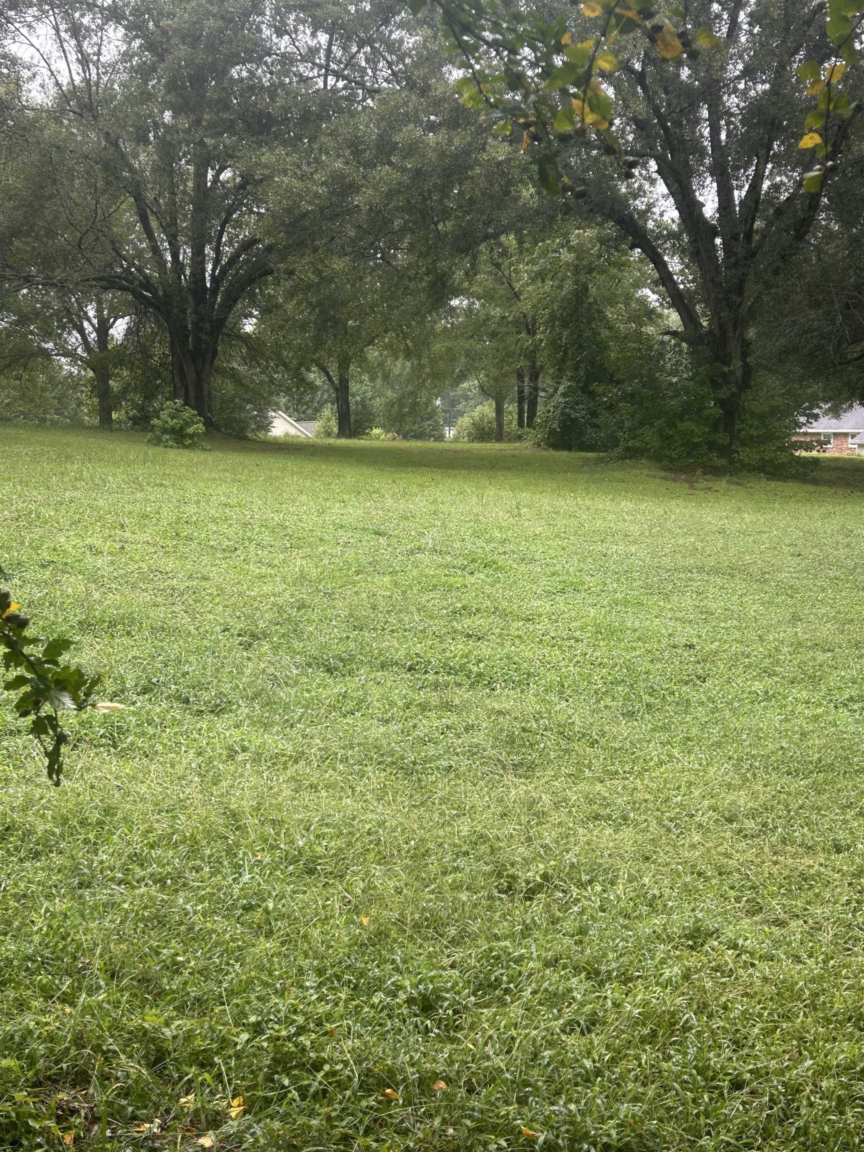 303 Zoar Heights Road Greer, SC 29651 - Photo 19 of 19 Gallery Image 19