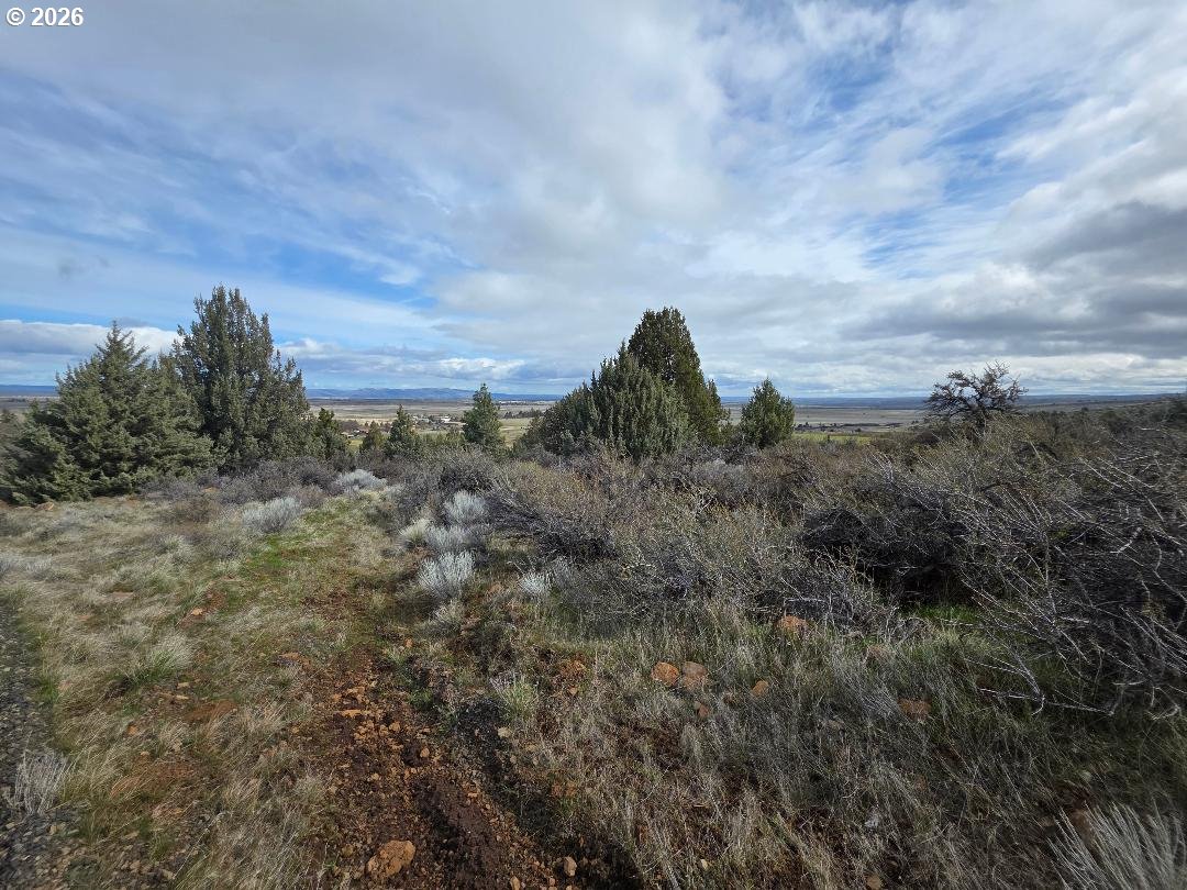 78902 Walters Road Maupin, OR 97037 - Photo 38 of 46 Gallery Image 38