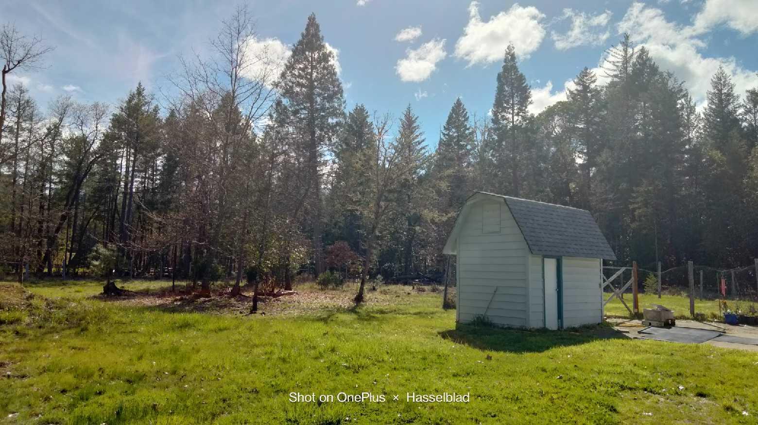 575 Kirkham Road Cave Junction, OR 97523 - Photo 10 of 45 a view of a house with a yard