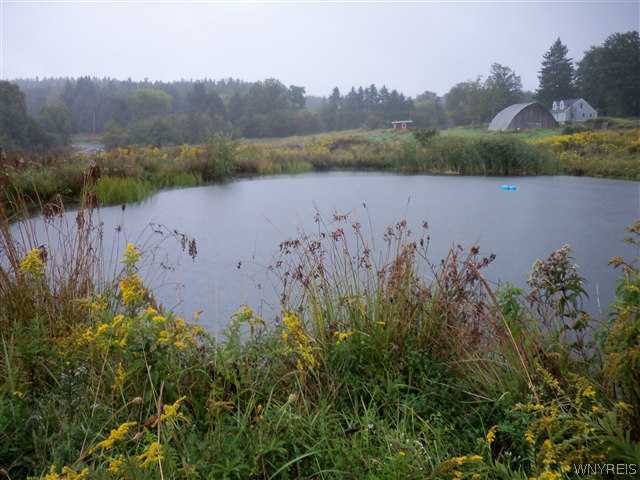 6315 Slab City Road Lyndon, NY 14737 - Photo 1 of 1 Land