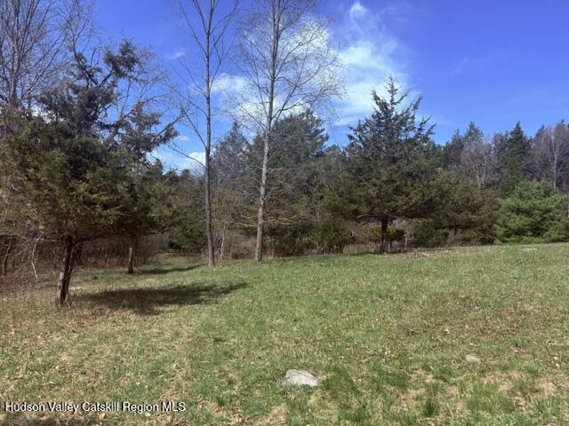 0 Van Etten Road Prattsville, NY 12468 - Photo 16 of 34 IMG_3155
