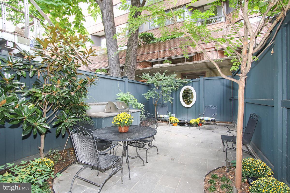 1029 30th Street Northwest Washington, DC 20007 - Photo 22 of 29 Spacious Garden with Grill & Water Feature
