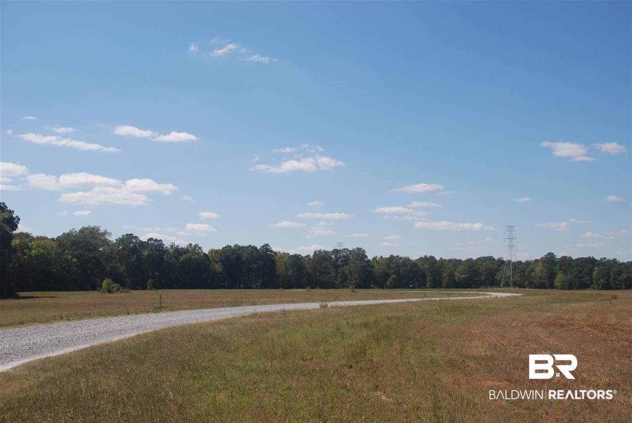 21 Jimmie Phillips Road Sawyerville, AL 36776 - Photo 17 of 41