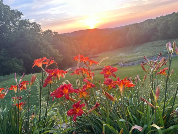 $1,250,000 | 3361 North N, Blue Mounds, WI 53517