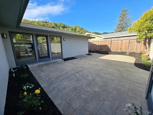 a view of a backyard with large trees and plants