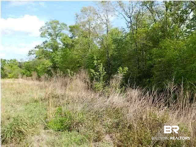 0 Blair Road Stapleton, AL 36578 - Photo 1 of 1