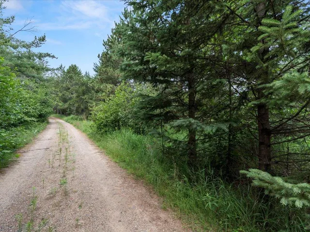 $349,900 | Lot 3-block Hibiscus Pine River, Pine River, MN 56474