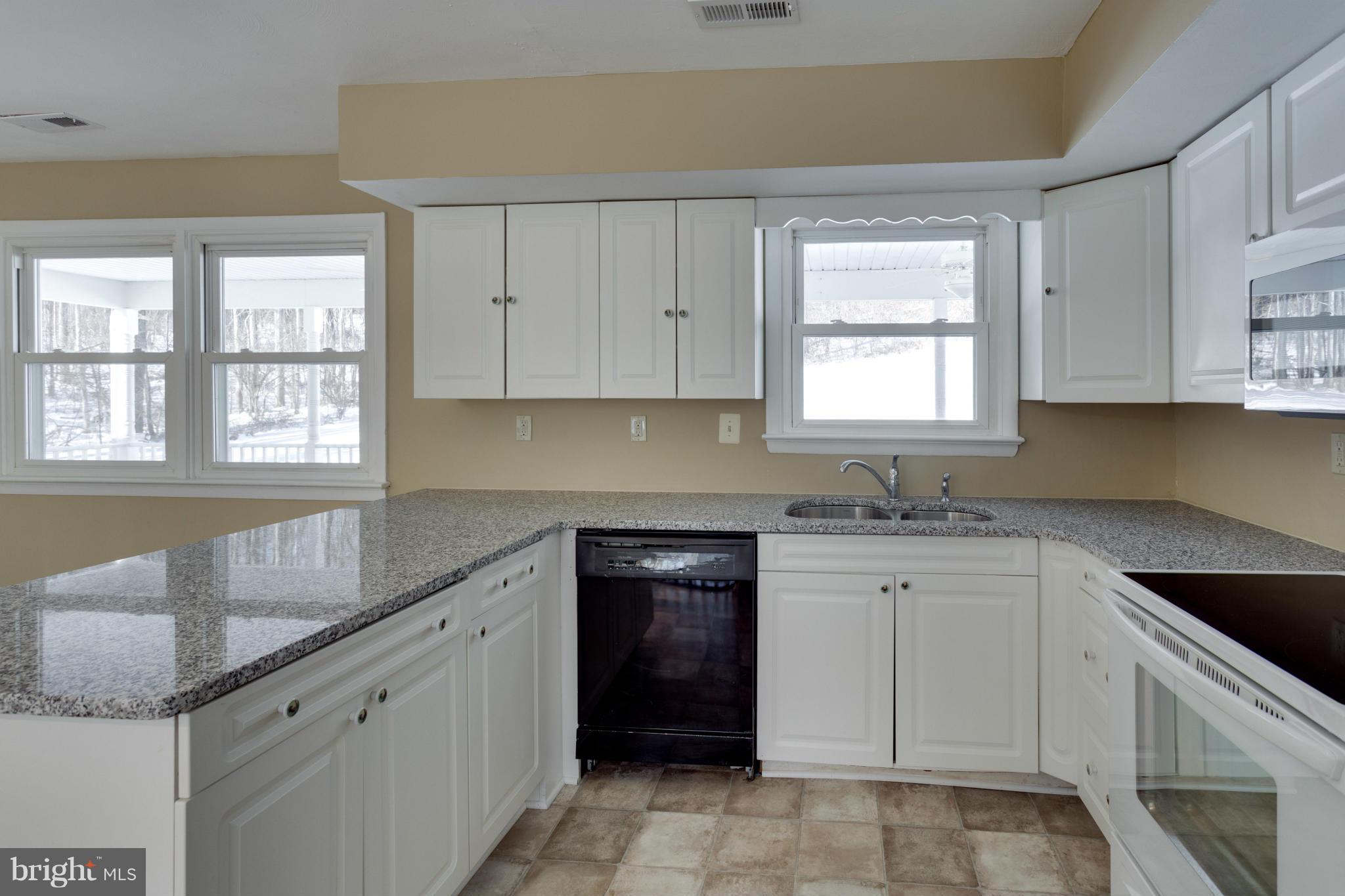3815 Sage Road Delaplane, VA 20144 - Photo 5 of 30 Kitchen