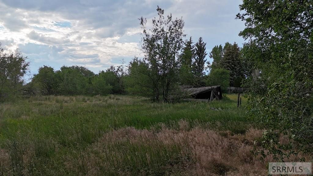 142 South 3rd West Rigby, ID 83442 - Photo 2 of 6