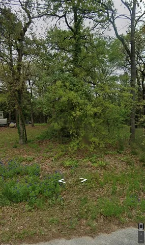 a view of a field with lots of bushes
