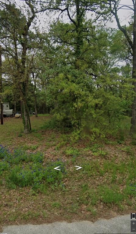 Tbd3 Kingsway Tool, TX 75143 - Photo 2 of 4 a view of a trees with a yard