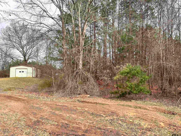 a front view of a house with a yard and tree s