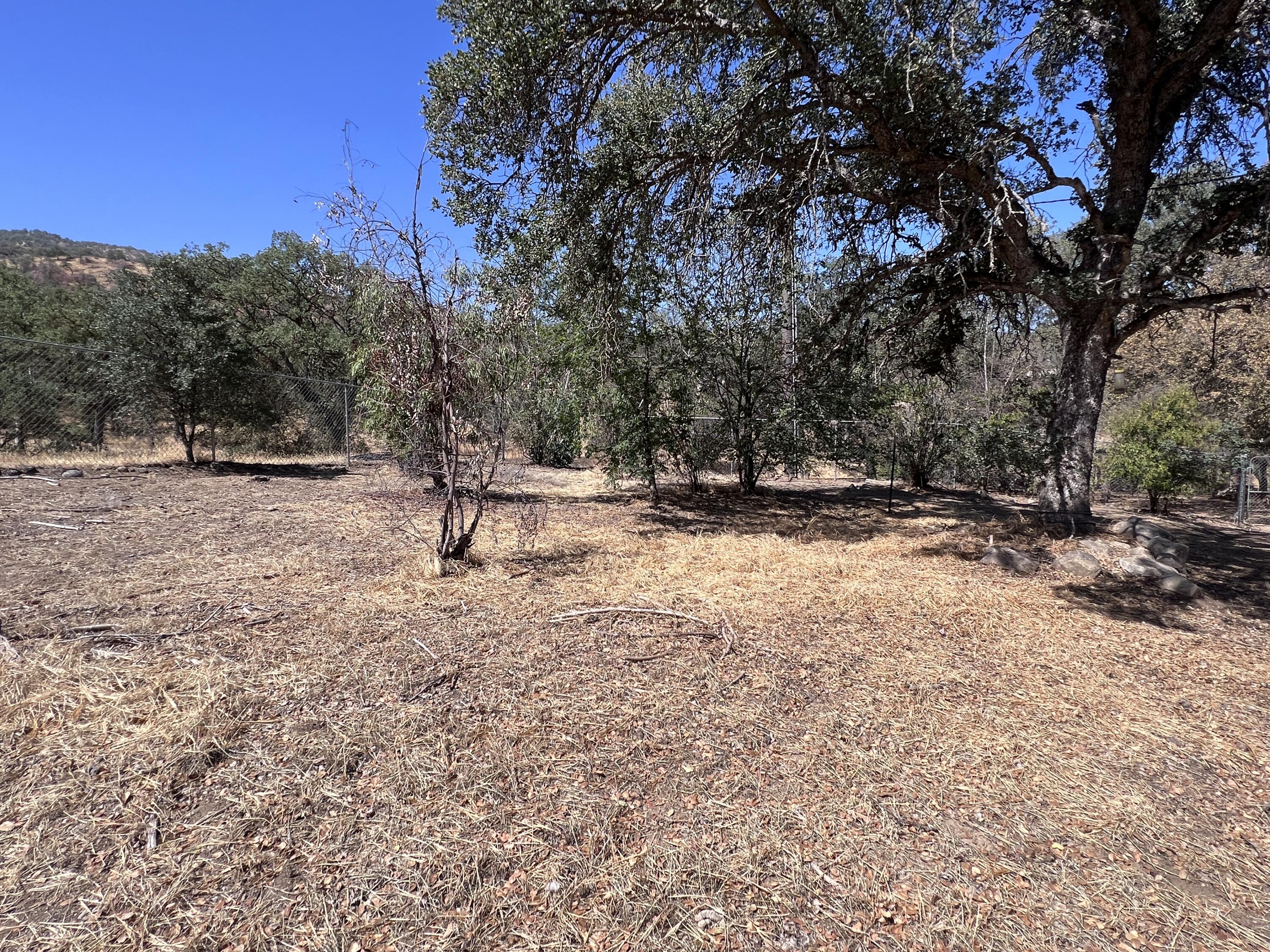 43494 Alta Acres Drive Three Rivers, CA 93271 - Photo 31 of 35 33C19A47-04BA-43B2-8D84-52C87CF433A1