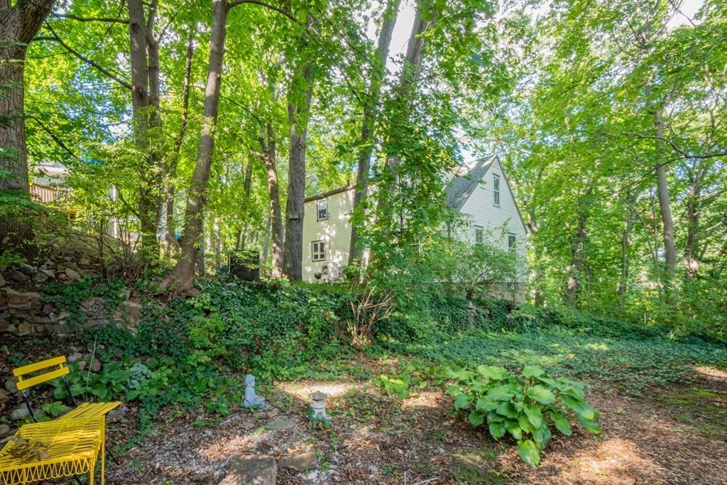 55 Coolidge Road Arlington, MA 02476 - Photo 41 of 42