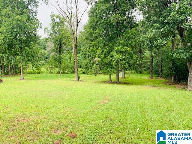6002 Slasham Road Gadsden, AL 35907 - Photo 1 of 27