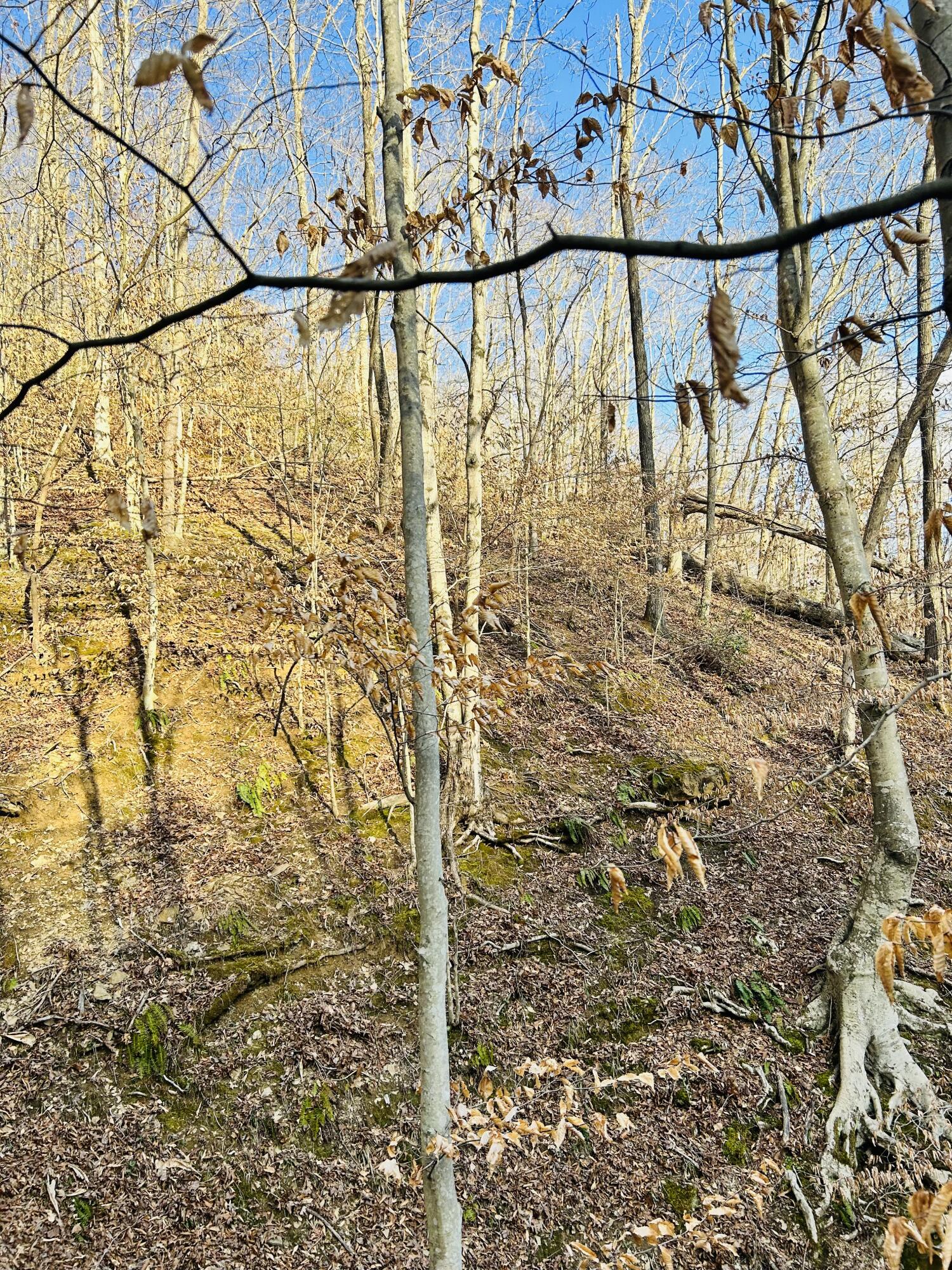0 Sam Bowling Road Manchester, KY 40962 - Photo 2 of 4 9494B548-EF85-4C59-8DD6-2745F6604DE0