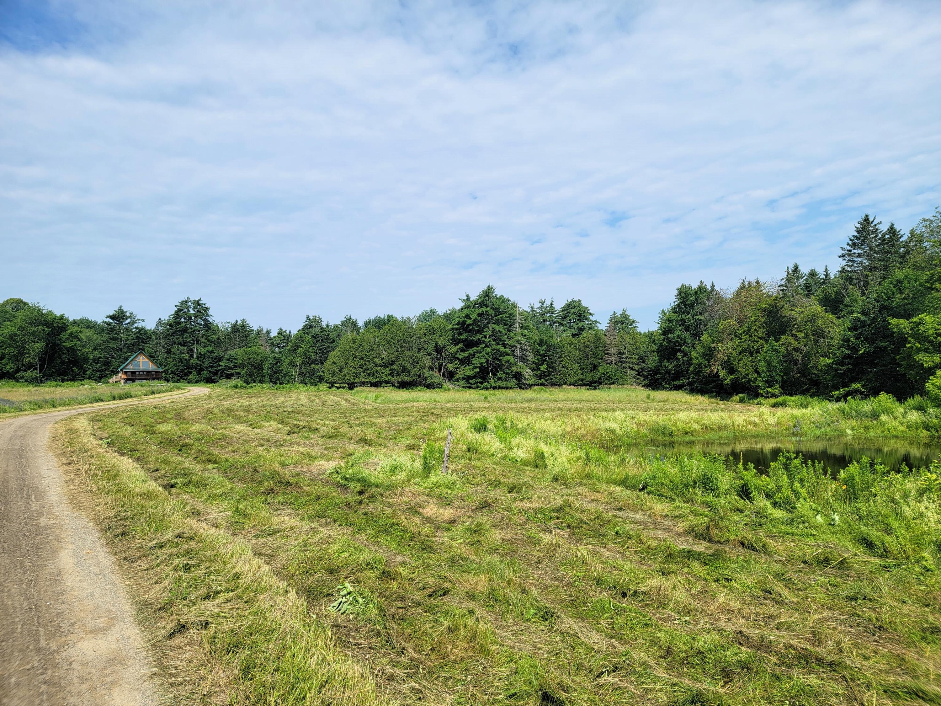 127 Albion Road Unity, ME 04988 - Photo 8 of 37 Acreage