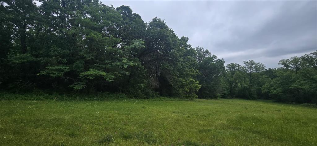 12668 East Panama Road Nevada, MO 64772 - Photo 2 of 8