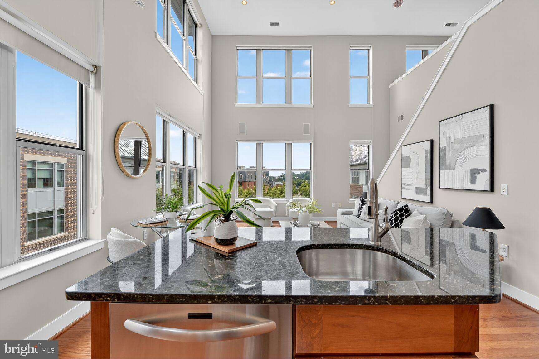 1800 Wilson Boulevard, Unit 449 Arlington, VA 22201 - Photo 19 of 99 Oh Hello Special 18 Foot Soaring Ceilings!!!