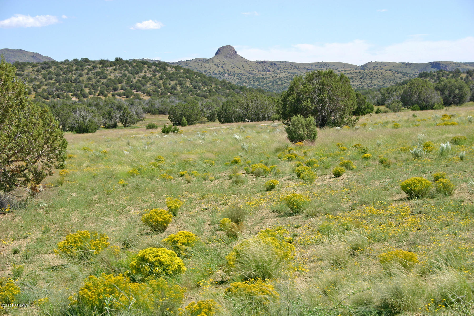 Gorgeous Meadows & Rolling Hills