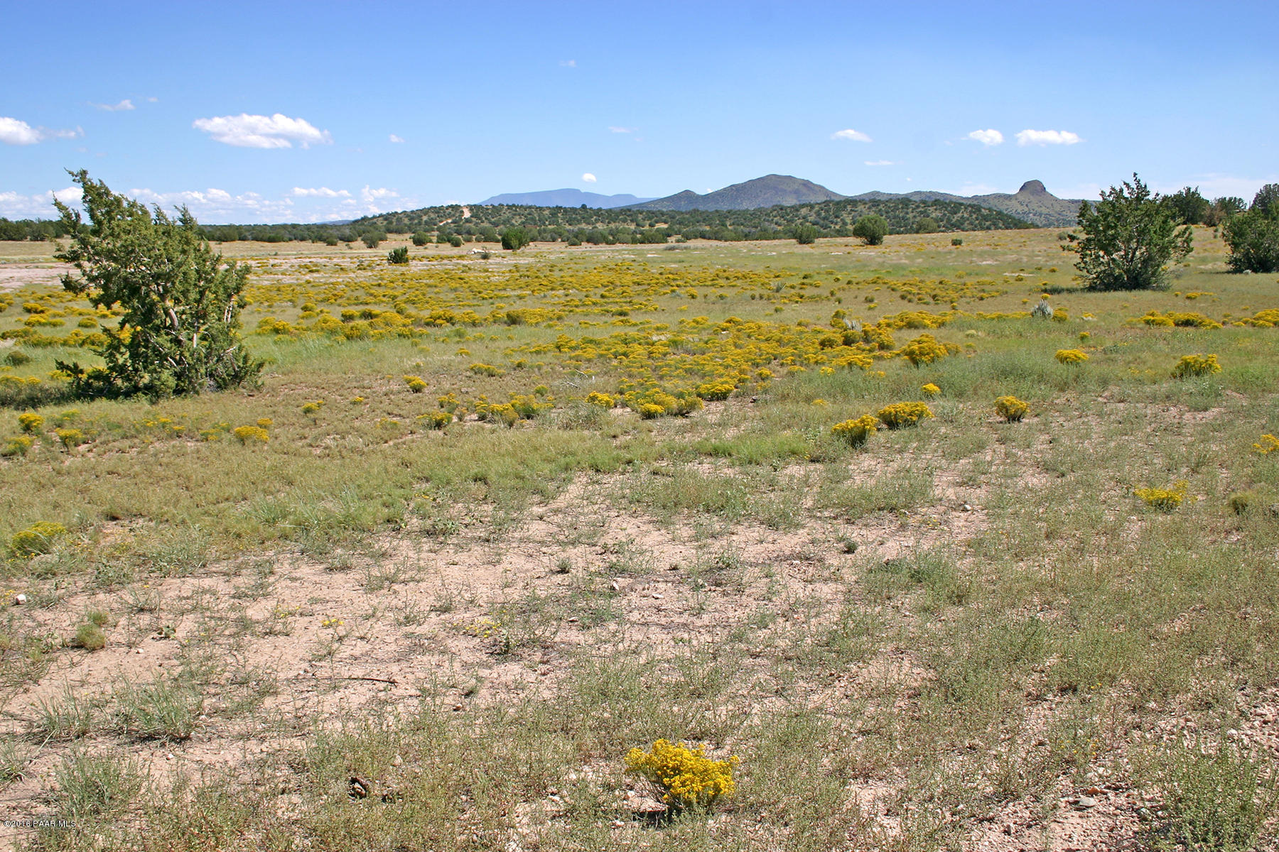 0 East Sweet Valley Road Paulden, AZ 86334 - Photo 11 of 16 MoodySweetValley 006N 38Acres10