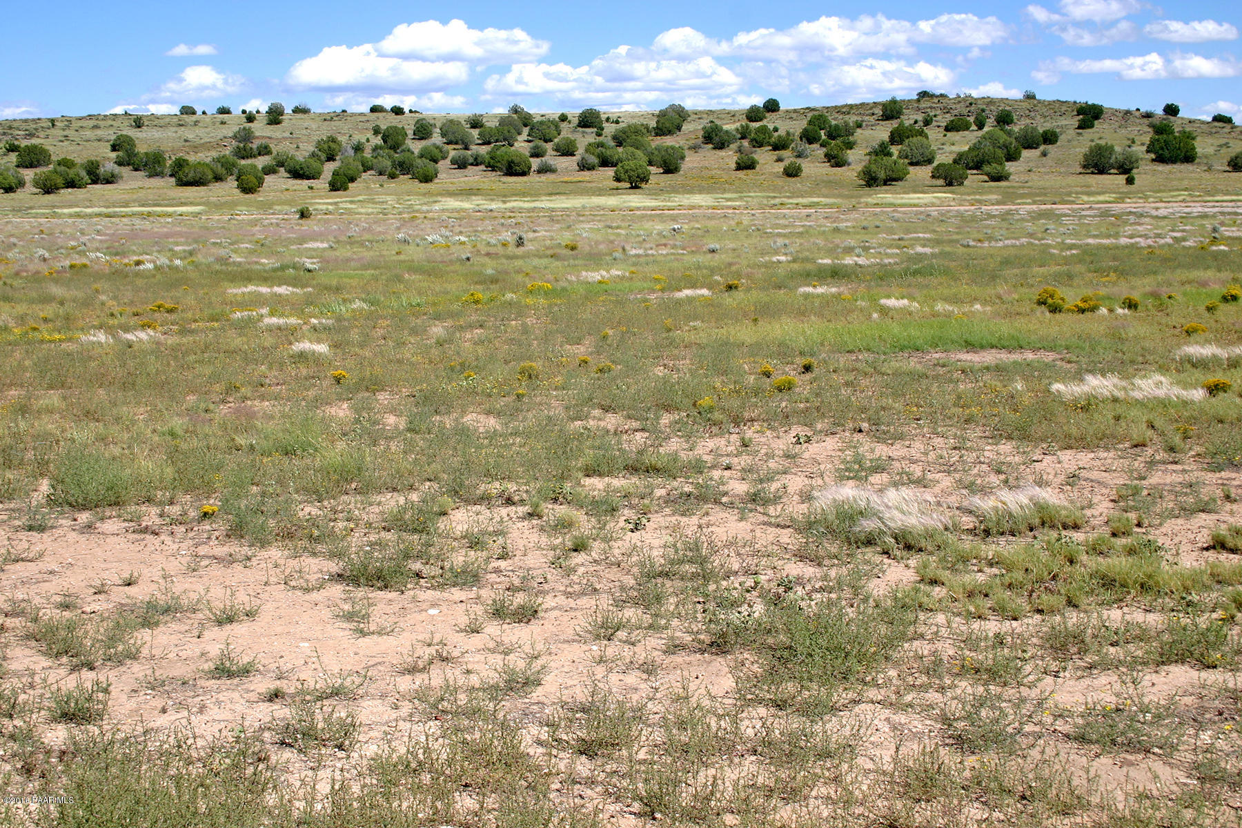 0 East Sweet Valley Road Paulden, AZ 86334 - Photo 14 of 16 MoodySweetValley 006N 38Acres13