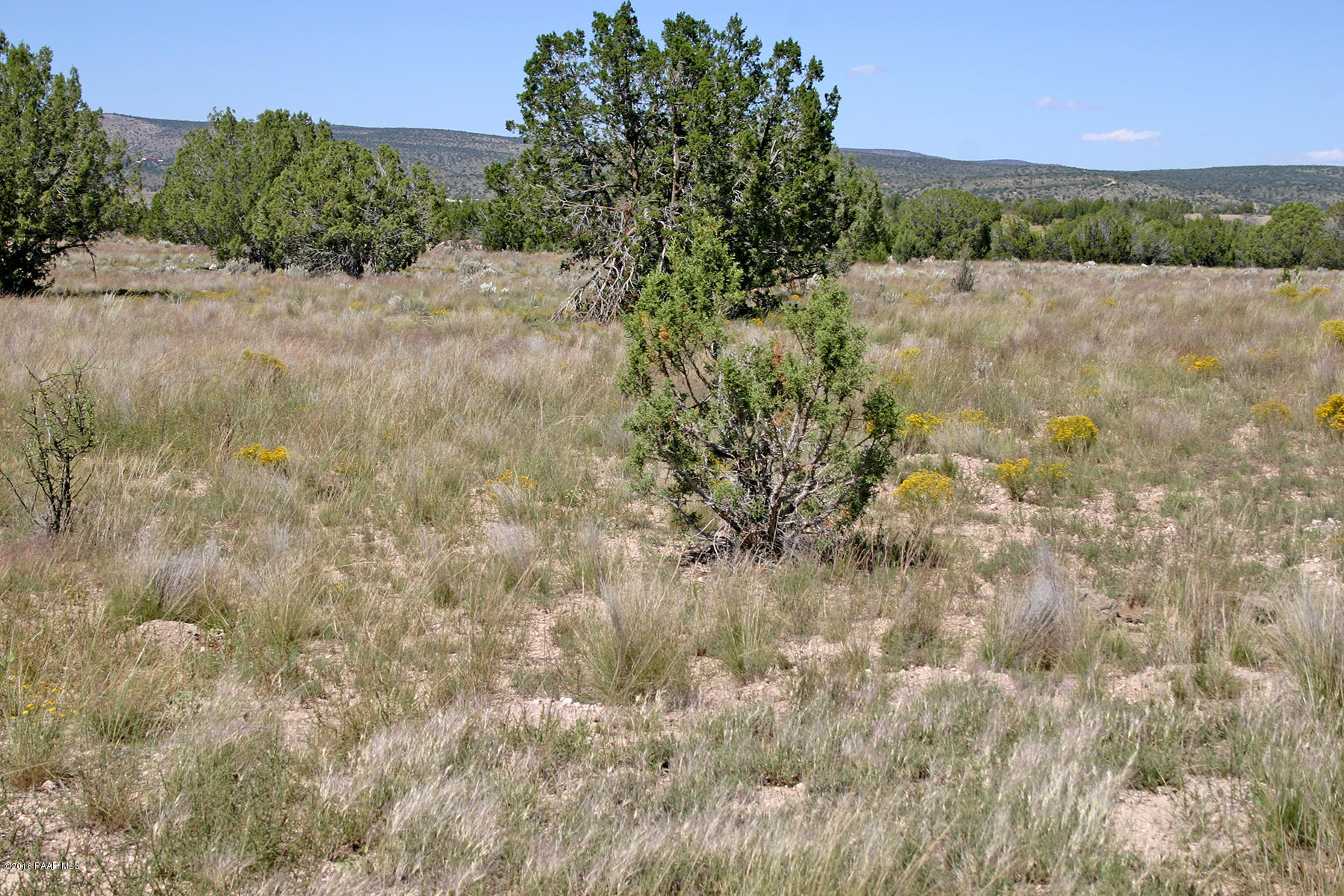 0 East Sweet Valley Road Paulden, AZ 86334 - Photo 15 of 16 MoodySweetValley 006N 38Acres16