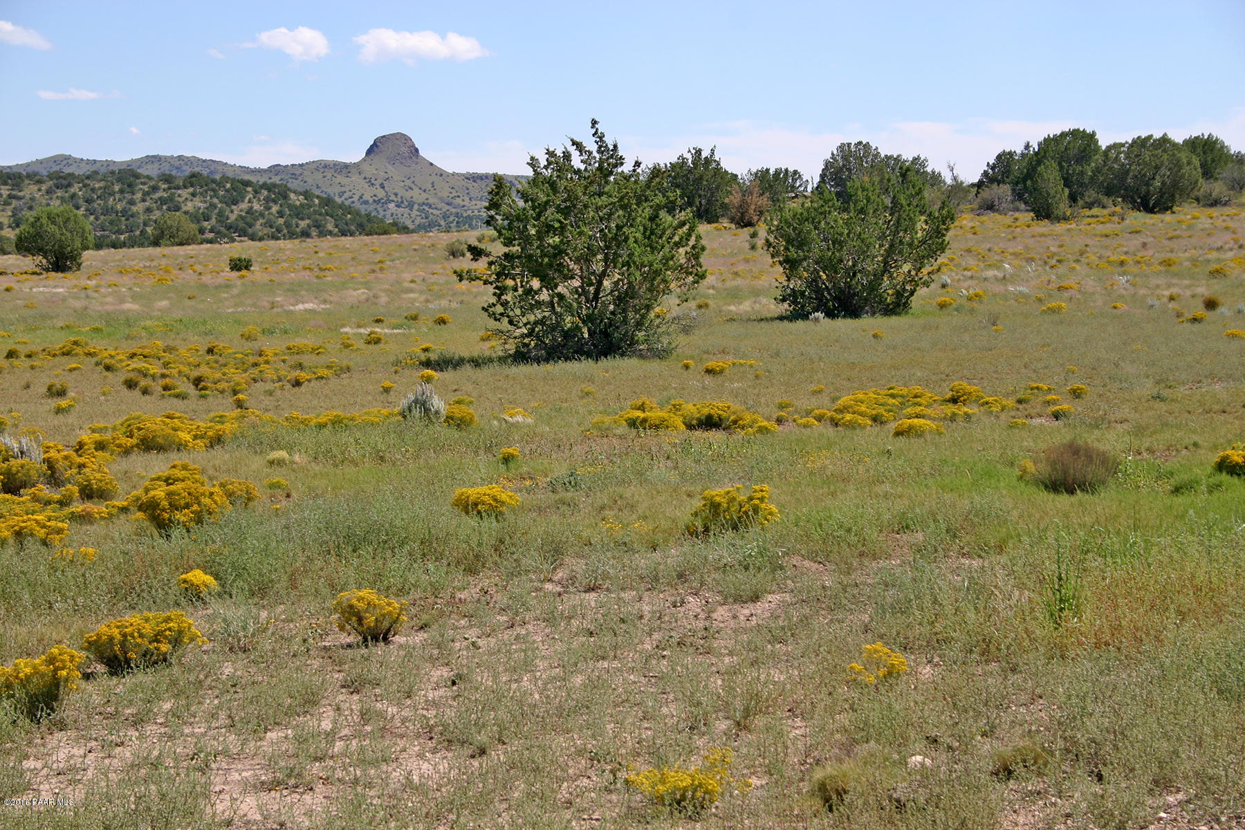 MoodySweetValley  006N 38Acres09