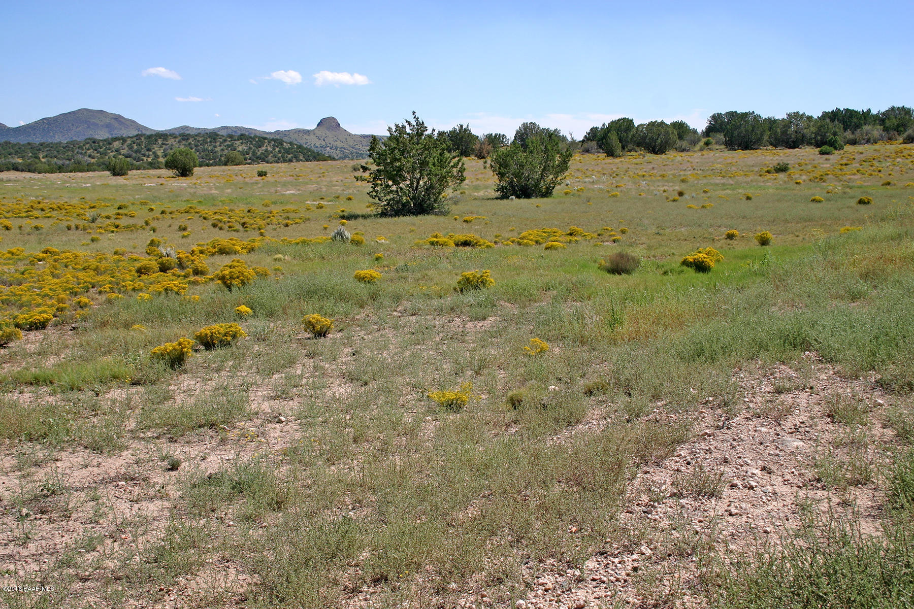 0 East Sweet Valley Road Paulden, AZ 86334 - Photo 10 of 16 MoodySweetValley 006N 38Acres08