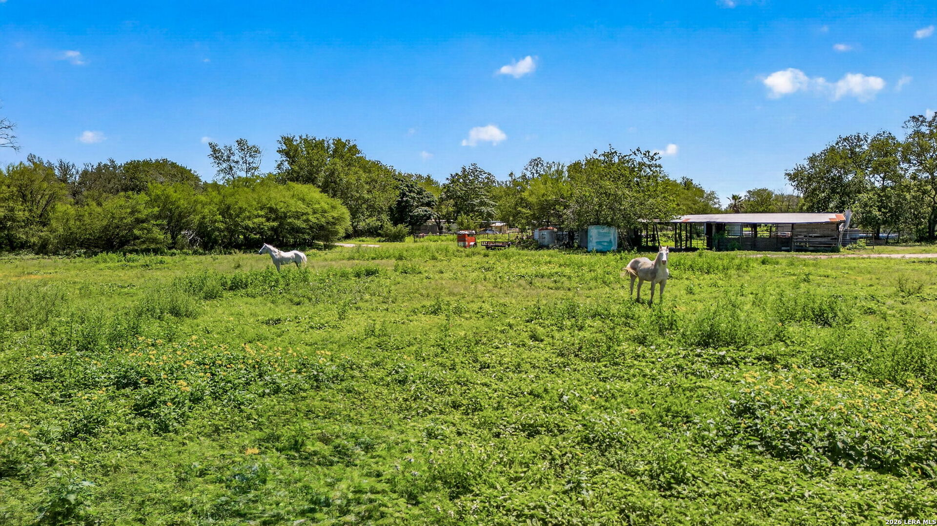 15505 Bradley Road Atascosa, TX 78002 - Photo 23 of 25 Gallery Image 23