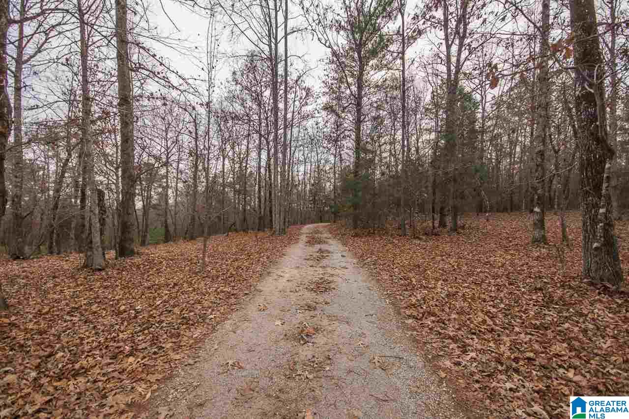 3522 Marvel Road Brierfield, AL 35035 - Photo 37 of 38