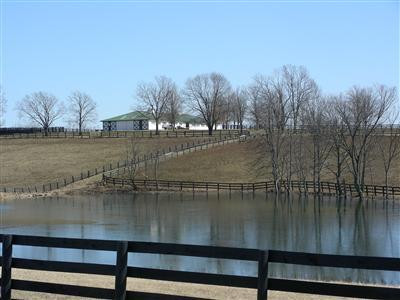 1384 Jackstown Road Paris, KY 40361 - Photo 1 of 15 Training barn overlooks spring fed lake.