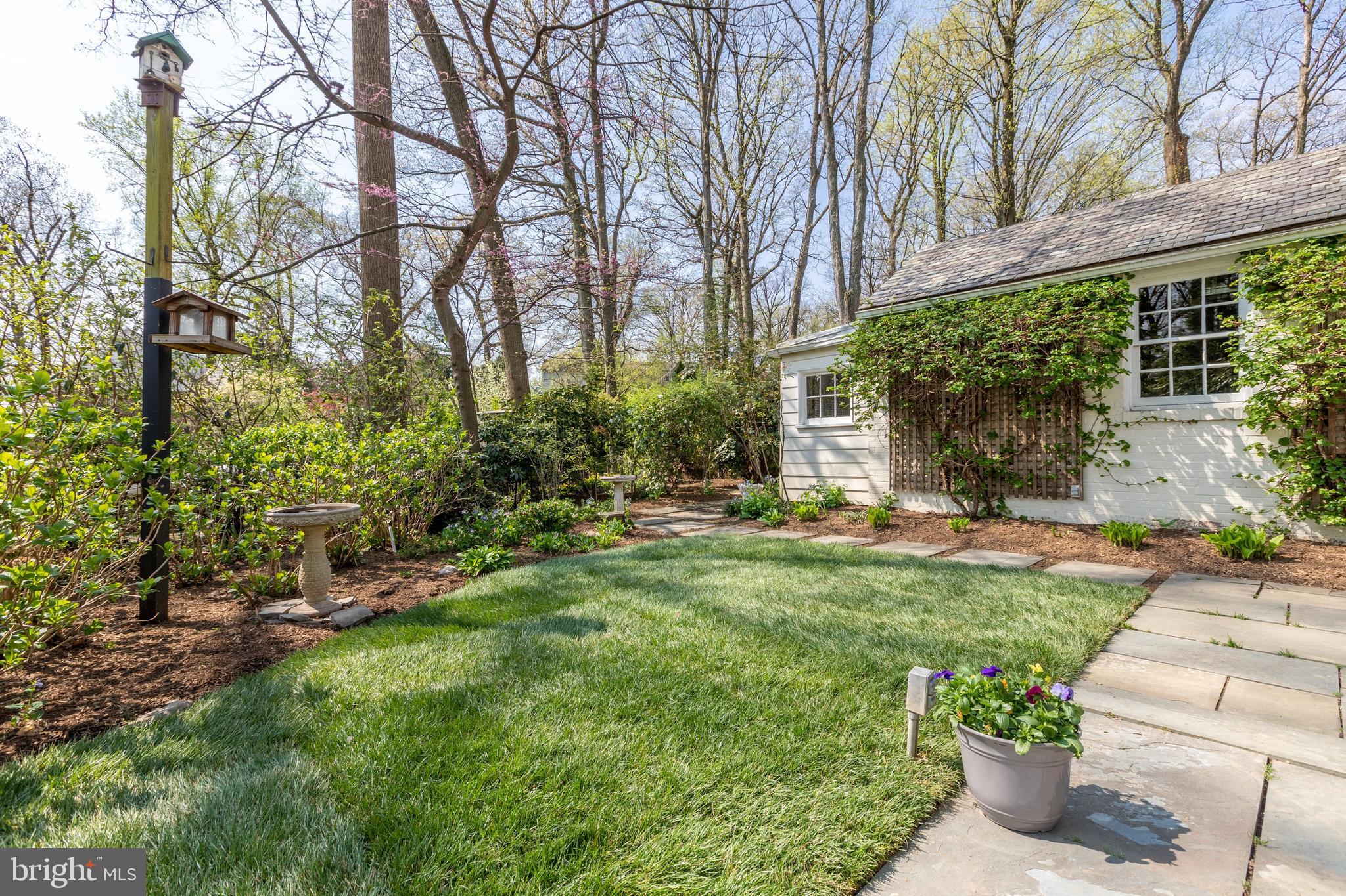 1306 Dale Drive Silver Spring, MD 20910 - Photo 29 of 33 Mature trees, wild birds and butterflies