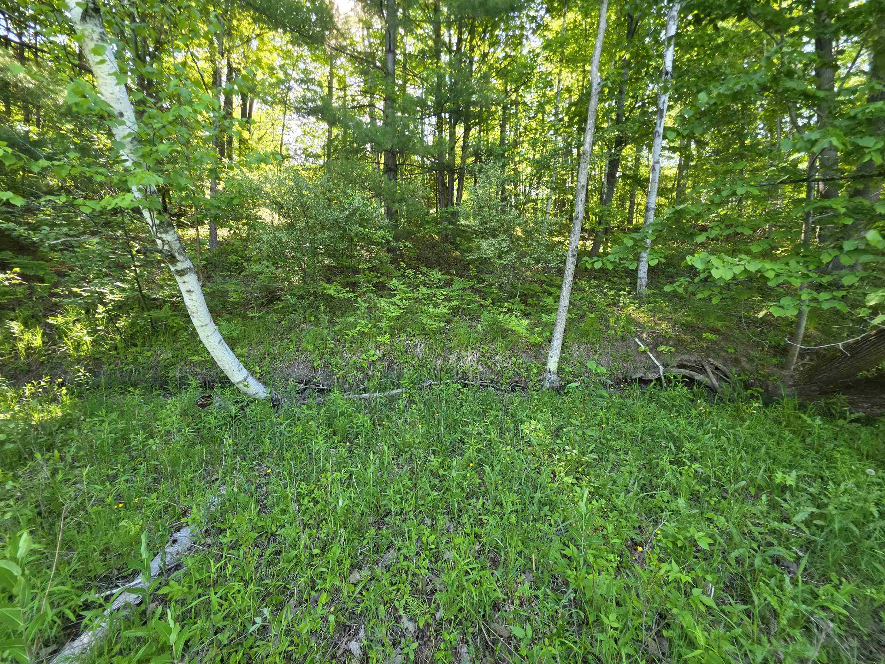 Tbd North Lakeshore Road Gladwin, MI 48624 - Photo 22 of 33
