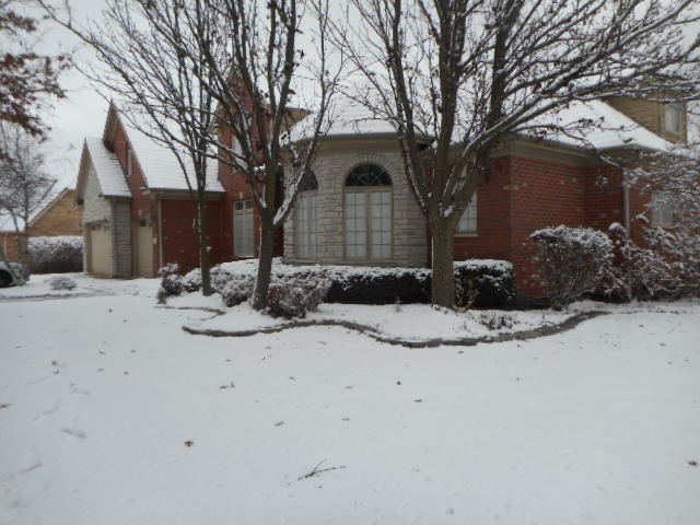 8825 Robert Road Darien, IL 60561 - Photo 2 of 62 Gallery Image 2