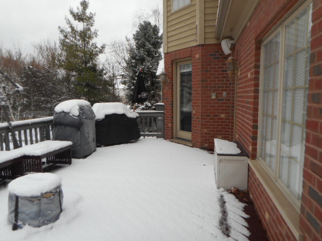 8825 Robert Road Darien, IL 60561 - Photo 3 of 62 Gallery Image 3
