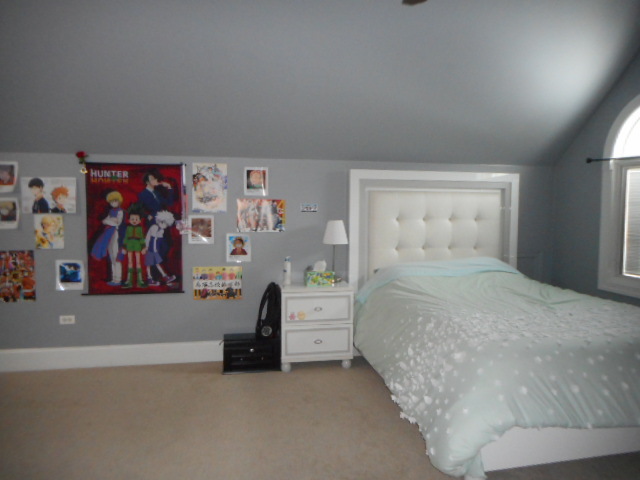 8825 Robert Road Darien, IL 60561 - Photo 34 of 62 Gallery Image 34