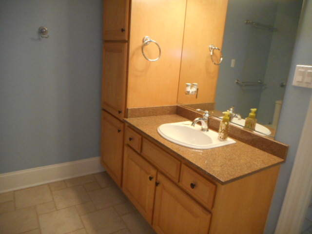 8825 Robert Road Darien, IL 60561 - Photo 42 of 62 Gallery Image 42