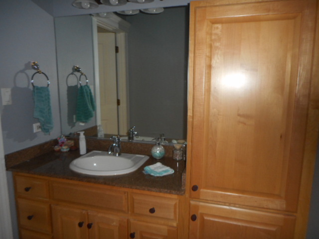 8825 Robert Road Darien, IL 60561 - Photo 51 of 62 Gallery Image 51