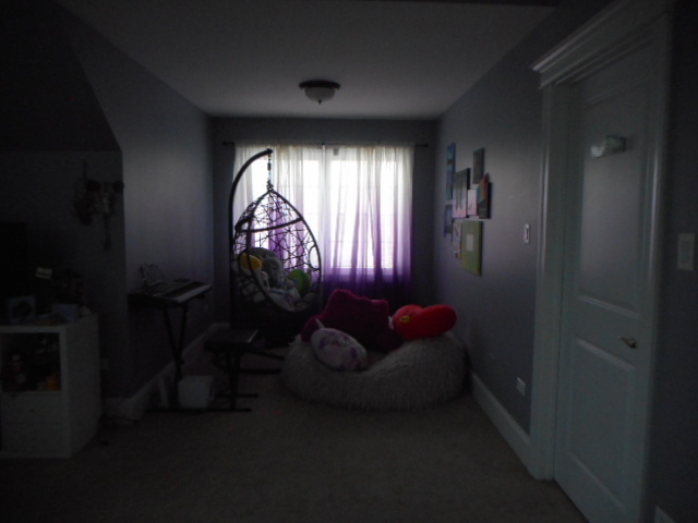 8825 Robert Road Darien, IL 60561 - Photo 52 of 62 Gallery Image 52