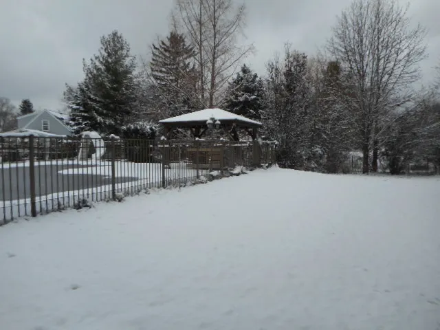 $1,200,000 | 8825 Robert Road, Darien, IL 60561