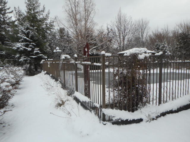 8825 Robert Road Darien, IL 60561 - Photo 7 of 62 Gallery Image 7
