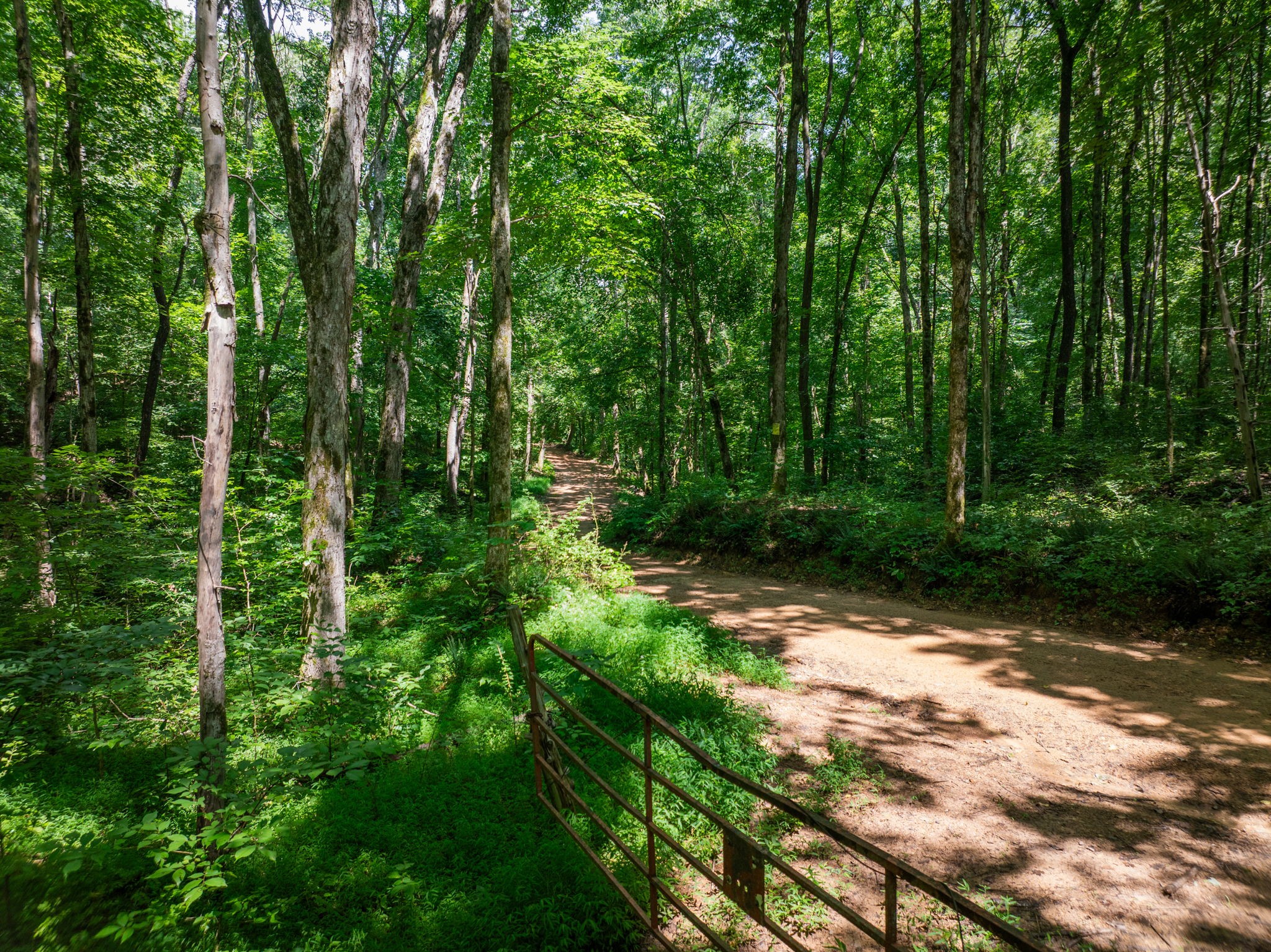 0 Barren Fork Bridge Road Bon Aqua, TN 37025 - Photo 13 of 28
