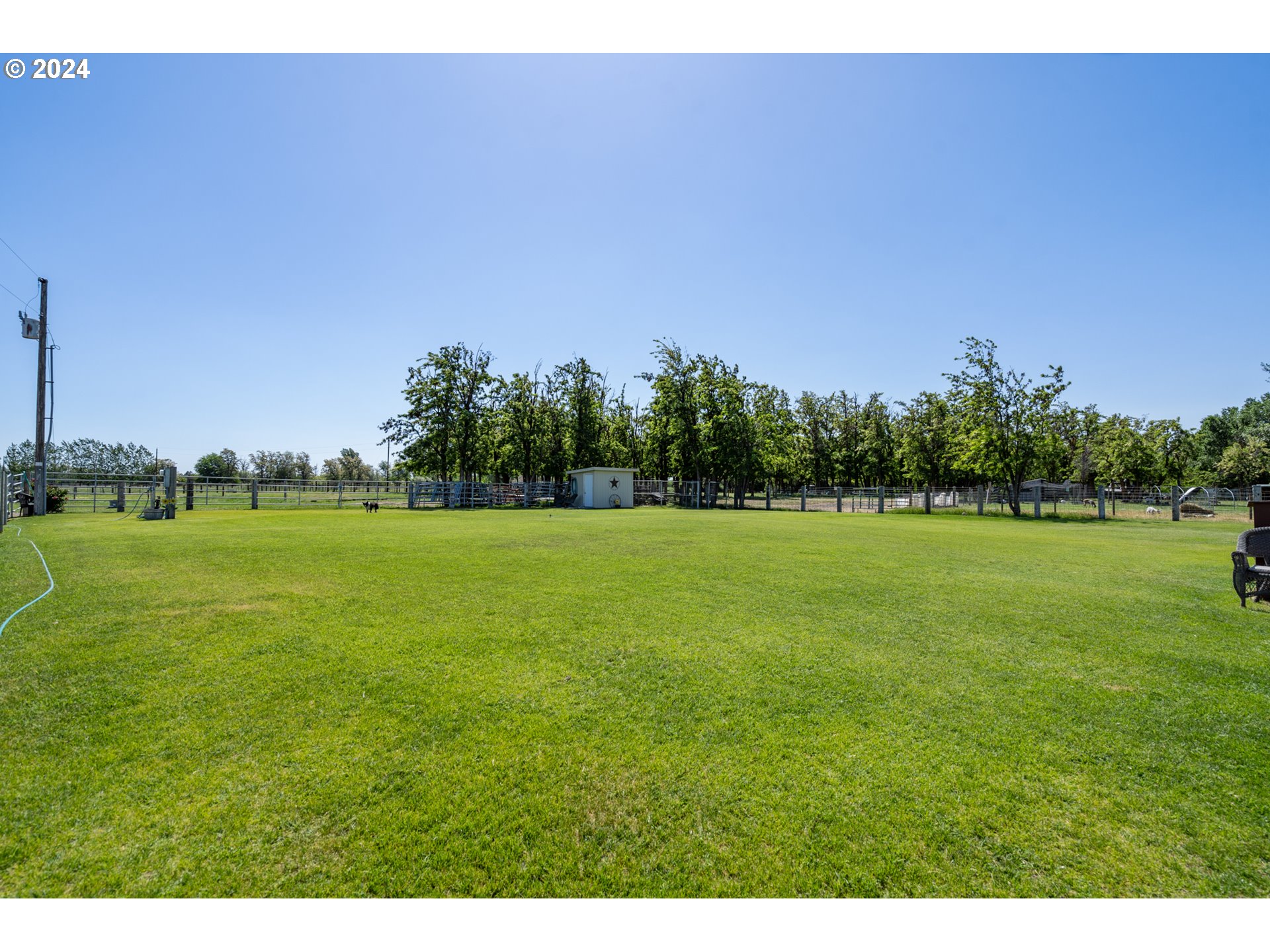 81385 North Golda Road Hermiston, OR 97838 - Photo 27 of 40 a view of a green field with trees in the background