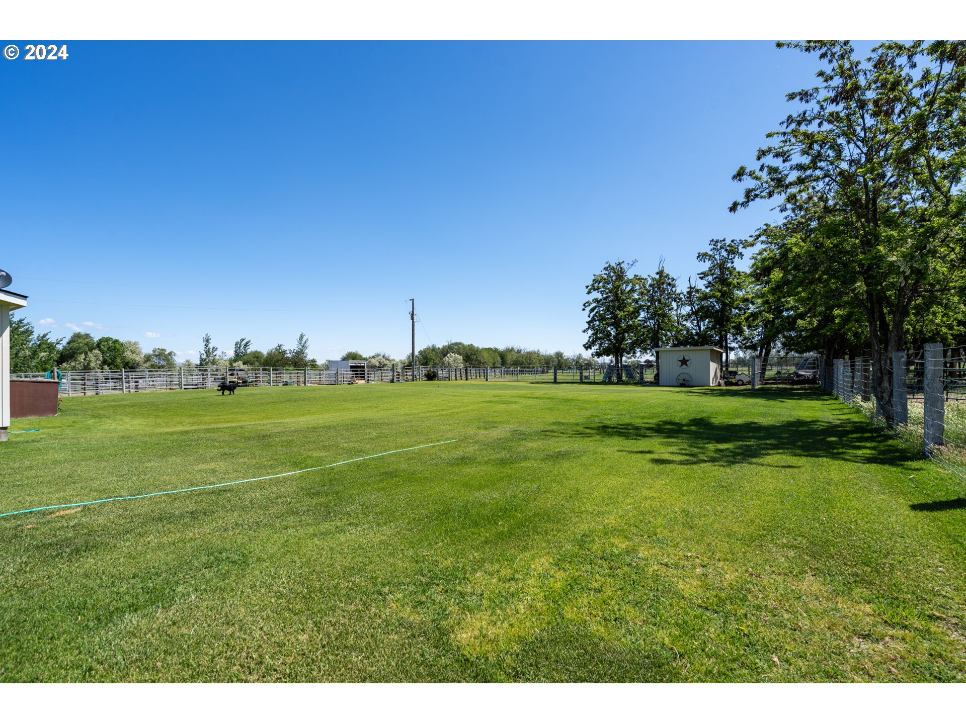 81385 North Golda Road Hermiston, OR 97838 - Photo 29 of 40 a backyard of a house with lots of green space