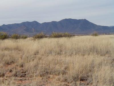 500 West Treasure Road Pearce, AZ 85625 - Photo 1 of 2